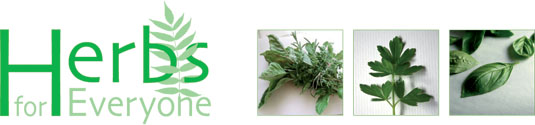 Herbs for Everyone